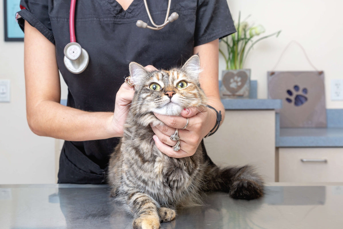 BOOST PATIENT & PARENT SATISFACTION