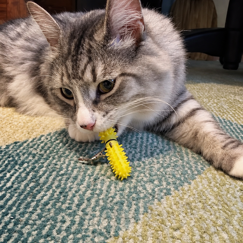 A gray and white tabby cat lies on a blue, beige, and green patterned carpet, biting a dental wand health toy to clean it's teeth the cat friendly way.