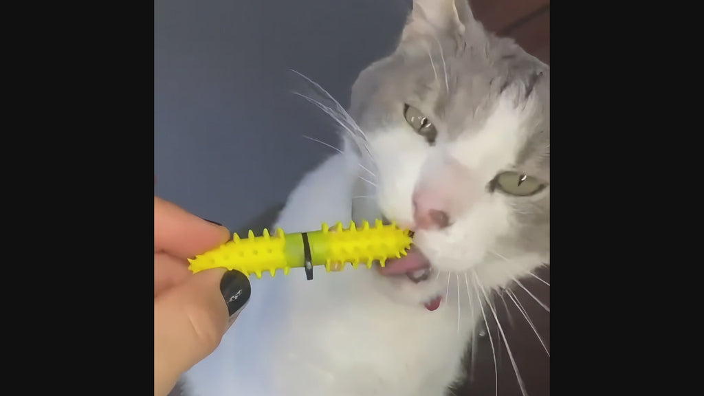 Dental Wand Starter Kit
