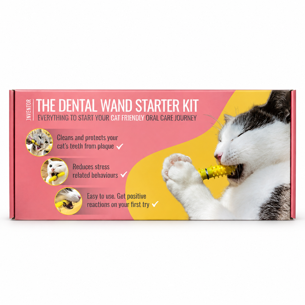 The Dental Wand Starter Kit retail box shown against a plain white background. The packaging features a pink and yellow design with a photo of a white and black cat biting a yellow dental wand.