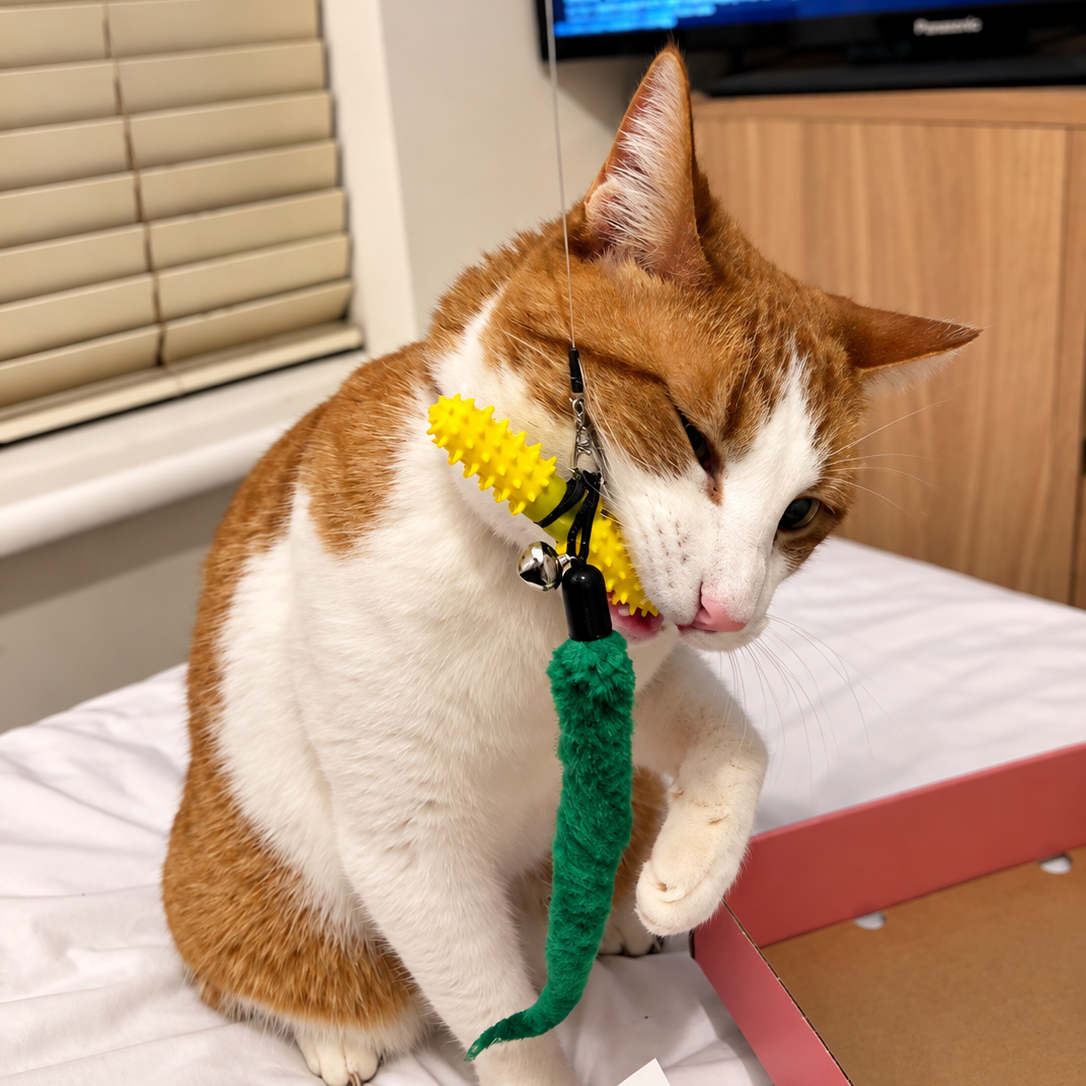 tia the cat biting dental wand to clean it's teeth the cat friendly way.
